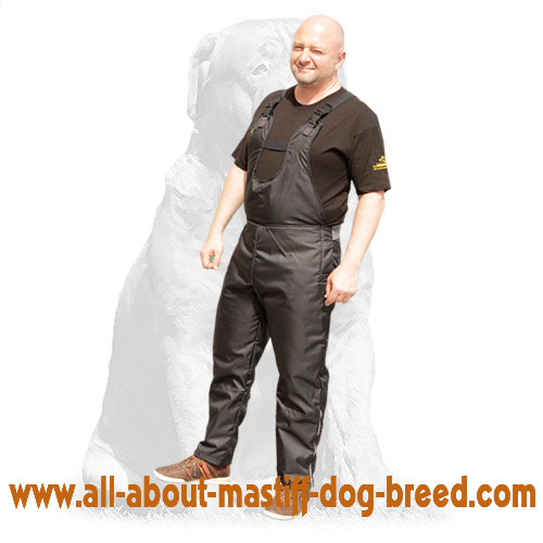 Protection scratch pants for dog training