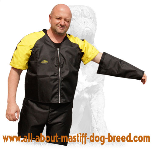 Protection scratch suit for dog training