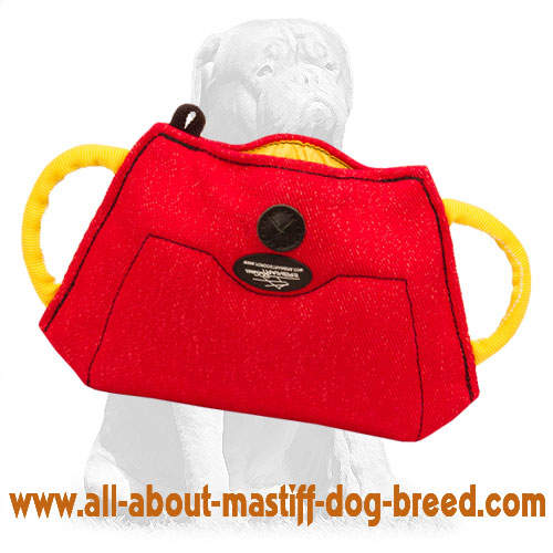 Mastiff Puppy and Young Dog Bite Builder made of French Linen