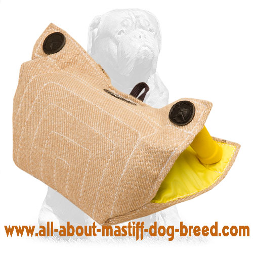 Mastiff bite developer for safe and effective training