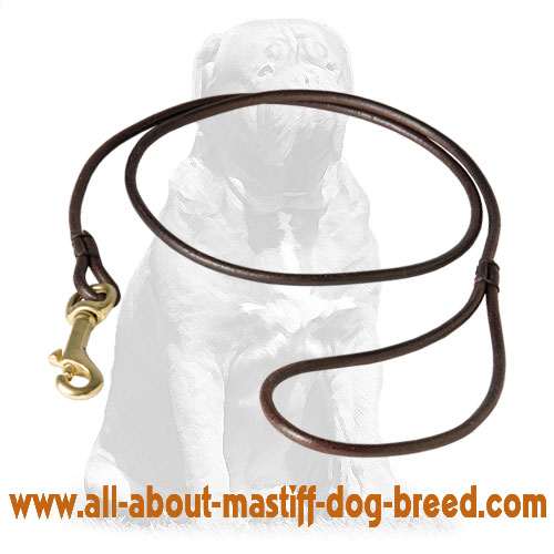 Mastiff Show Round Leather Dog Leash