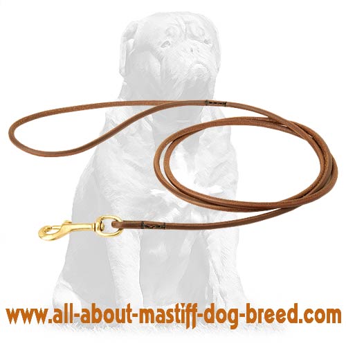 Mastiff Handcrafted Round Leather Dog Leash
