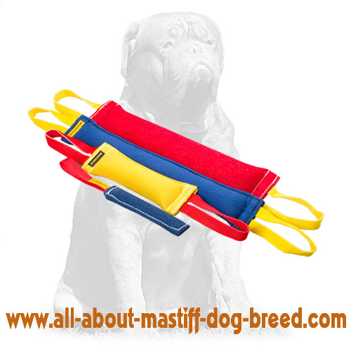 Mastiff Durable Adult Dog Training Set