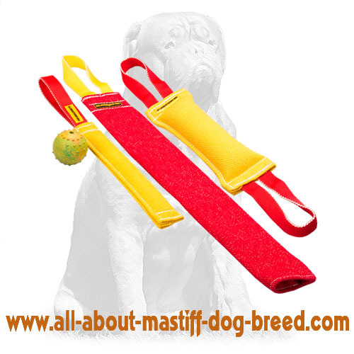 Mastiff Puppy Training Set Made of French Linen