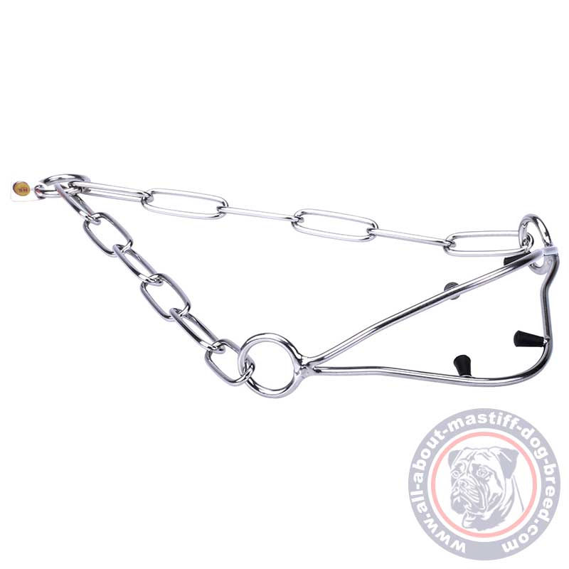 Mastiff Stainless Steel Dog Show Collar with Caps 1/9 inch (3 mm)