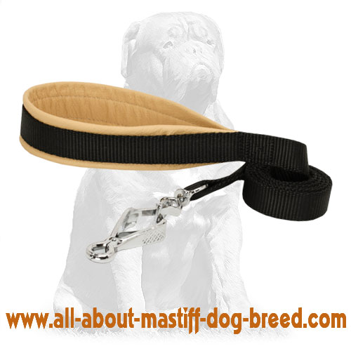 Nylon Dog Leash with Nappa Padded Handle for Mastiff