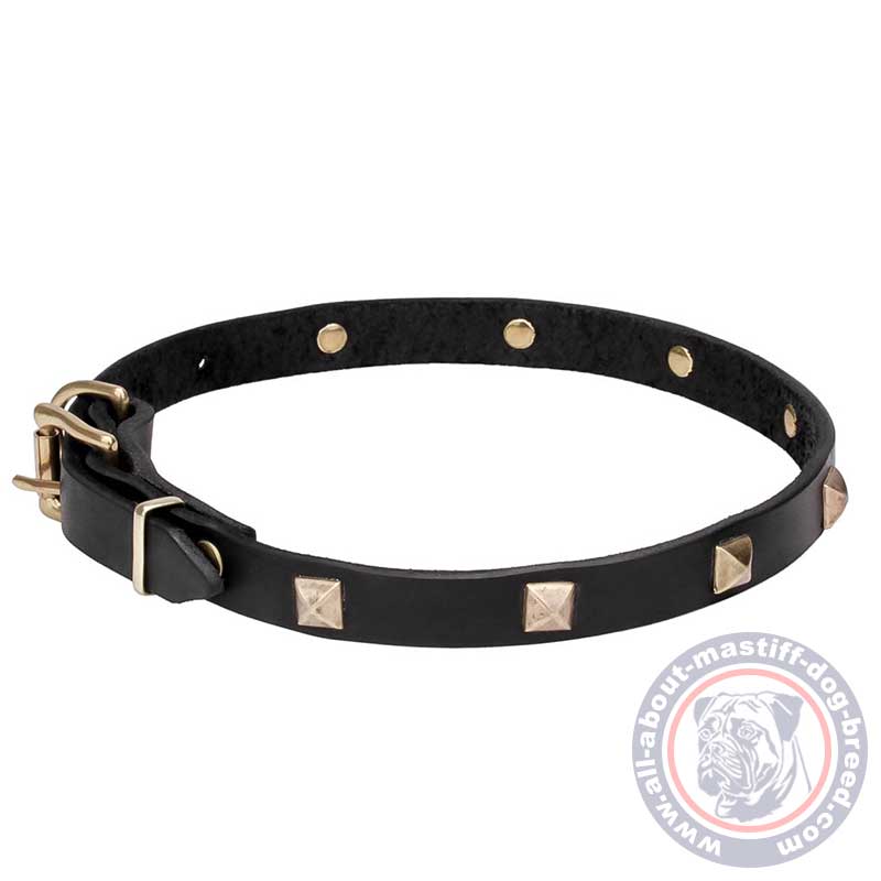 Mastiff Impressive Leather Dog Collar with Brass Studs
