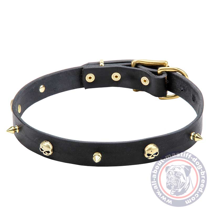 Mastiff Leather Collar with Brass Spikes and Skulls 1 inch (25 mm) wide
