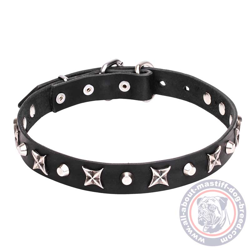 Mastiff Leather Dog Collar with Shiny Nickel Plated Stars and Pyramids