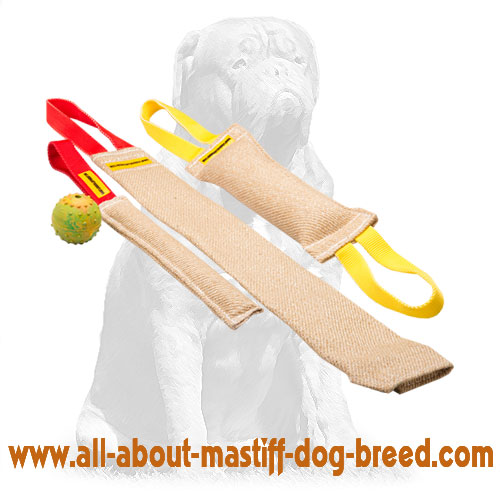Mastiff Puppy Training Set