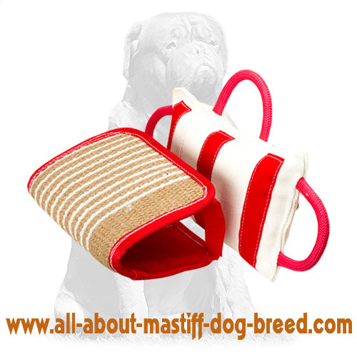 Bite Training Pillow with Jute Cover for Young and Adult Mastiff