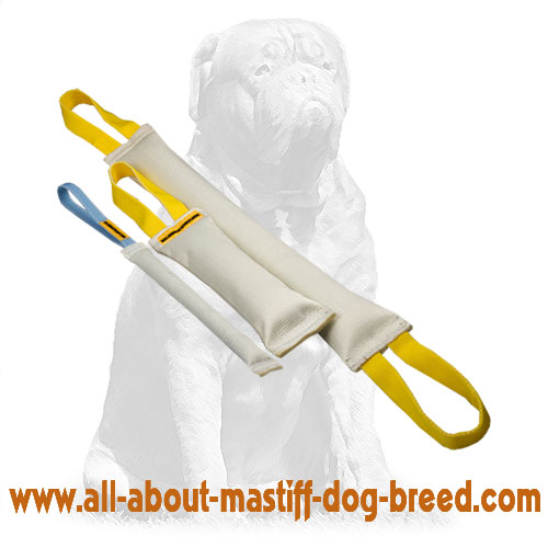 Fire Hose Bite Tugs - Training Set