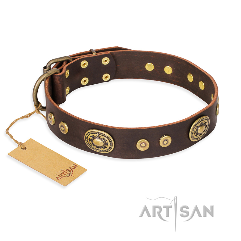 'One-of-a-Kind' FDT Artisan Mastiff Decorated Brown Leather Dog Collar