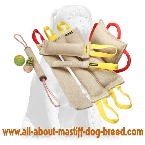Mastiff Training Supplies - Jute Bite tugs Set