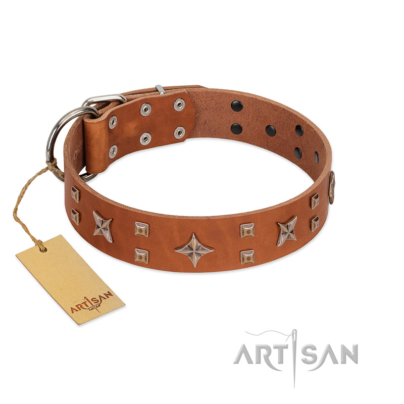 "Dreamy Gleam" FDT Artisan Tan Leather Mastiff Collar Adorned with Stars and Squares