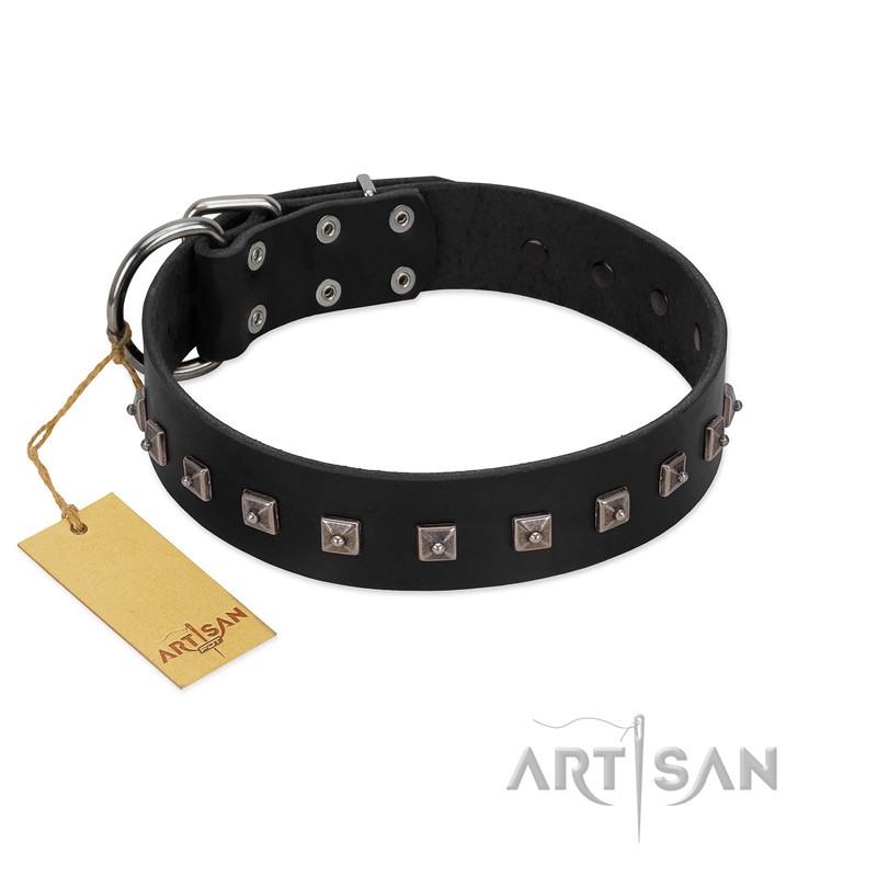 "Natural Beauty" Premium Quality FDT Artisan Black Designer Mastiff Collar with Dotted Studs