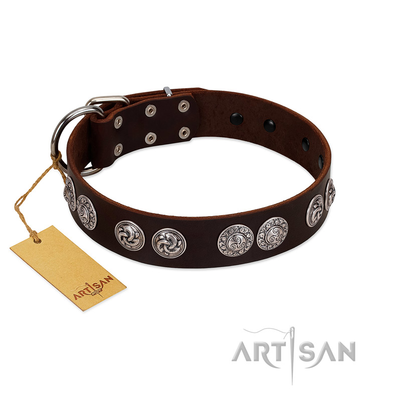 "High and Mighty" FDT Artisan Classy Brown Leather Mastiff Collar with Embellished Brooches