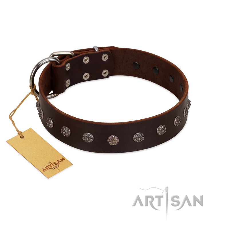 "Graceful Classic" Mod FDT Artisan Brown Leather Mastiff Collar