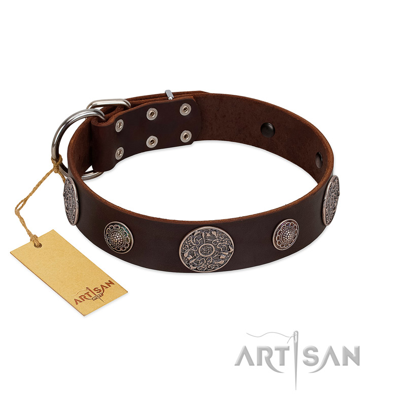"Flashy Woof" FDT Artisan Brown Leather Mastiff Collar with Chrome Plated Brooches - Click Image to Close