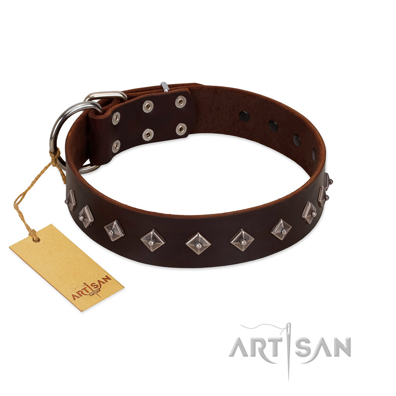 "Boundless Energy" Premium Quality FDT Artisan Brown Designer Leather Mastiff Collar with Small Pyramids - Click Image to Close