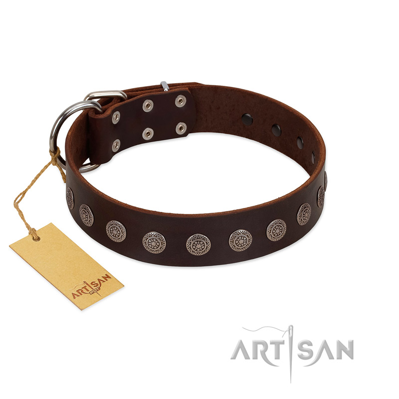 "Starry-Eyed" Best Quality FDT Artisan Brown Designer Leather Mastiff Collar with Small Plates