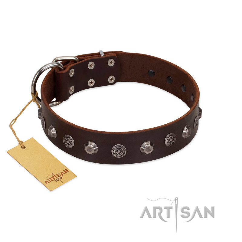 "Dark Chocolate" Handmade FDT Artisan Brown Leather Mastiff Collar with Studs
