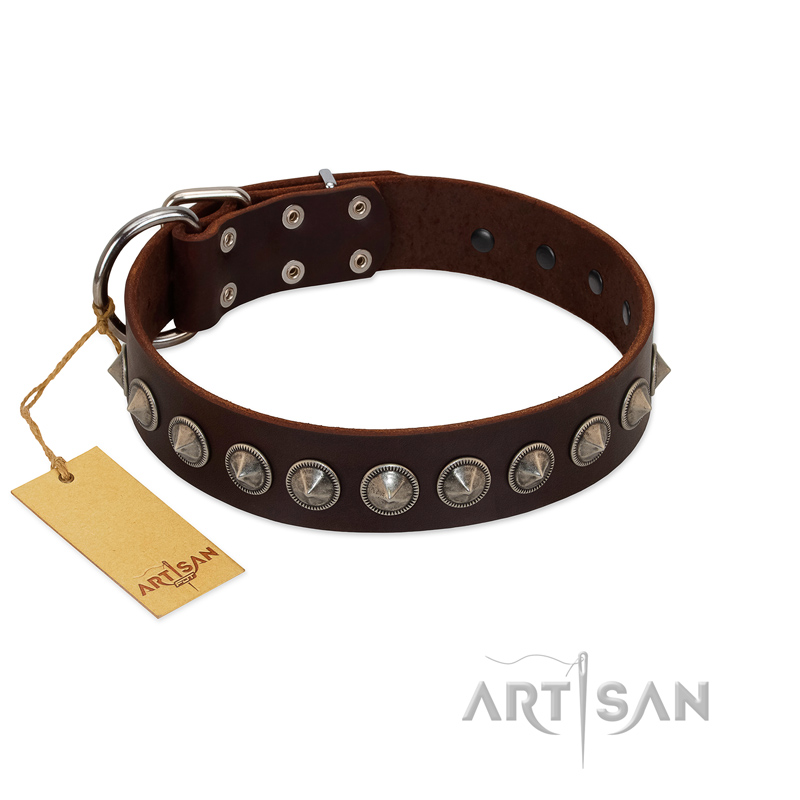 "Gothic Style" FDT Artisan Fancy Brown Leather Mastiff Collar with Silver-Like Decorations