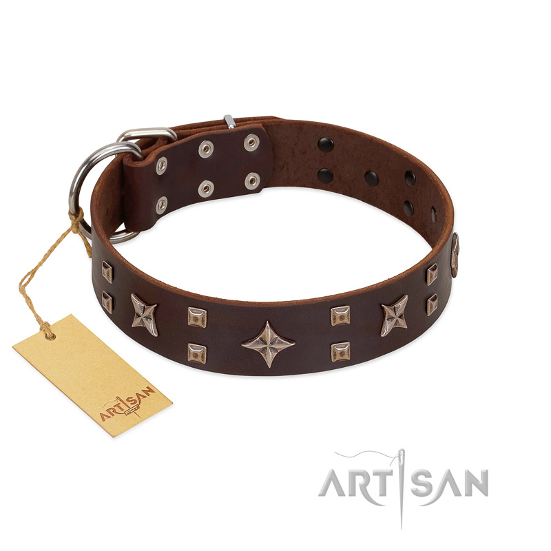 "Stars in Sands" Modern FDT Artisan Brown Leather Mastiff Collar with Studs and Stars