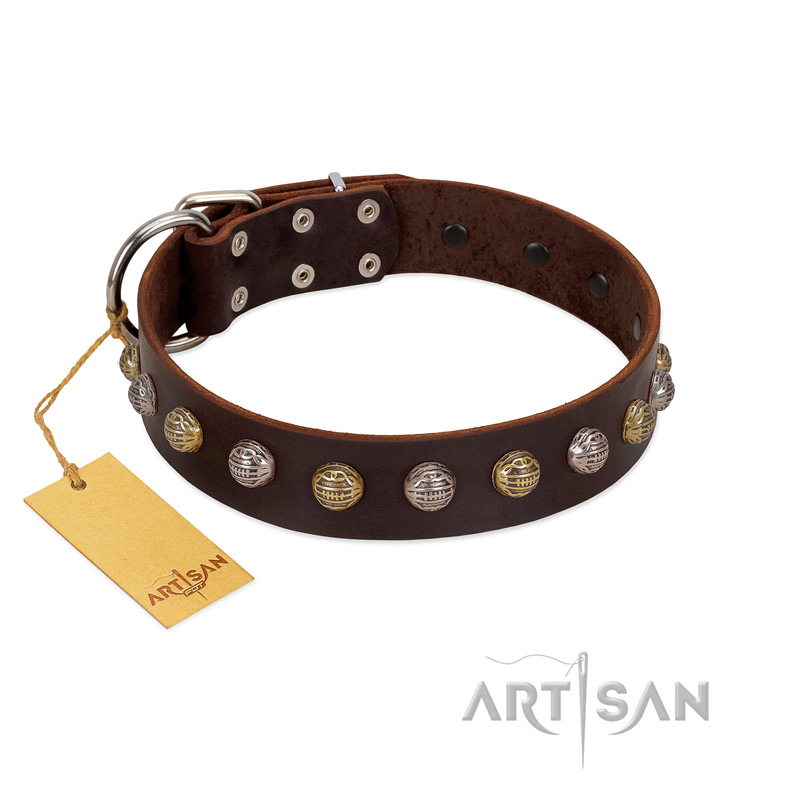 "Gape Buster" FDT Artisan Brown Leather Mastiff Collar with One Row of Studs
