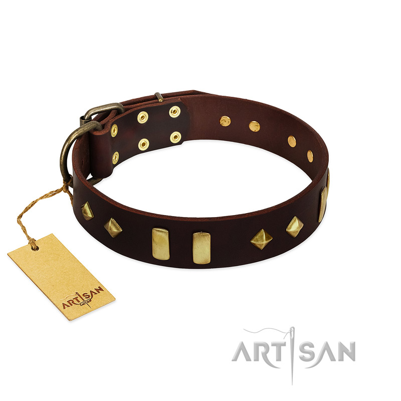 "Blinking Illusion" FDT Artisan Brown Leather Mastiff Collar with Old Bronze-like Studs and Plates