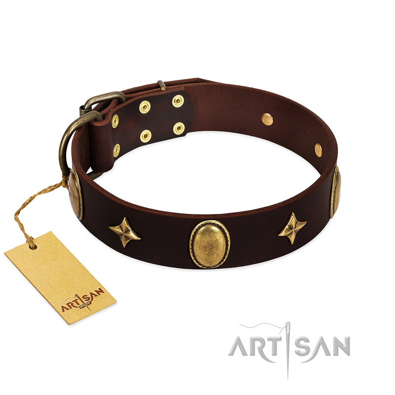 "Victory and Laurels" FDT Artisan Brown Leather Mastiff Collar with Ovals and Stars