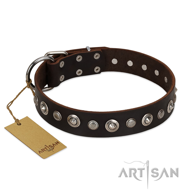 "Gorgeous Shields" FDT Artisan Brown Leather Mastiff Collar with Old Silver-like Circles and Small Camomiles
