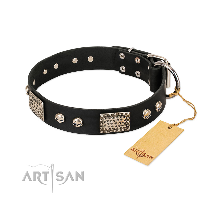 "Pirates Gold" FDT Artisan Black Leather Mastiff Collar with Old Silver Look Plates and Skulls