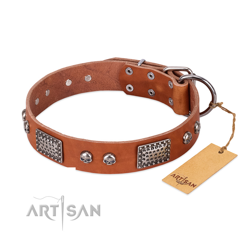 "Sparkling Skull" FDT Artisan Tan Leather Mastiff Collar with Old Silver Look Plates and Skulls