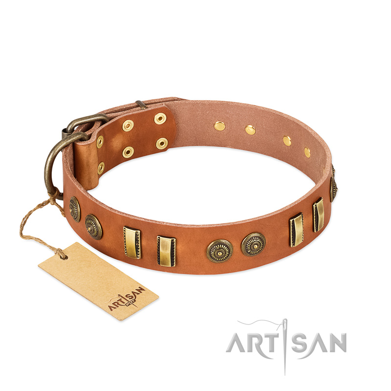"Natural Beauty" FDT Artisan Tan Leather Mastiff Collar with Old Bronze-like Circles and Plates
