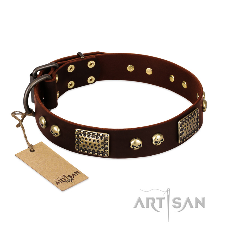 "Magic Amulet" Brown Leather Mastiff Collar with Skulls and Plates
