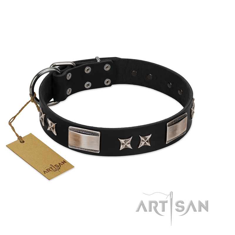 "Pitch Dark" FDT Artisan Black Leather Mastiff Collar with Stars and Plates
