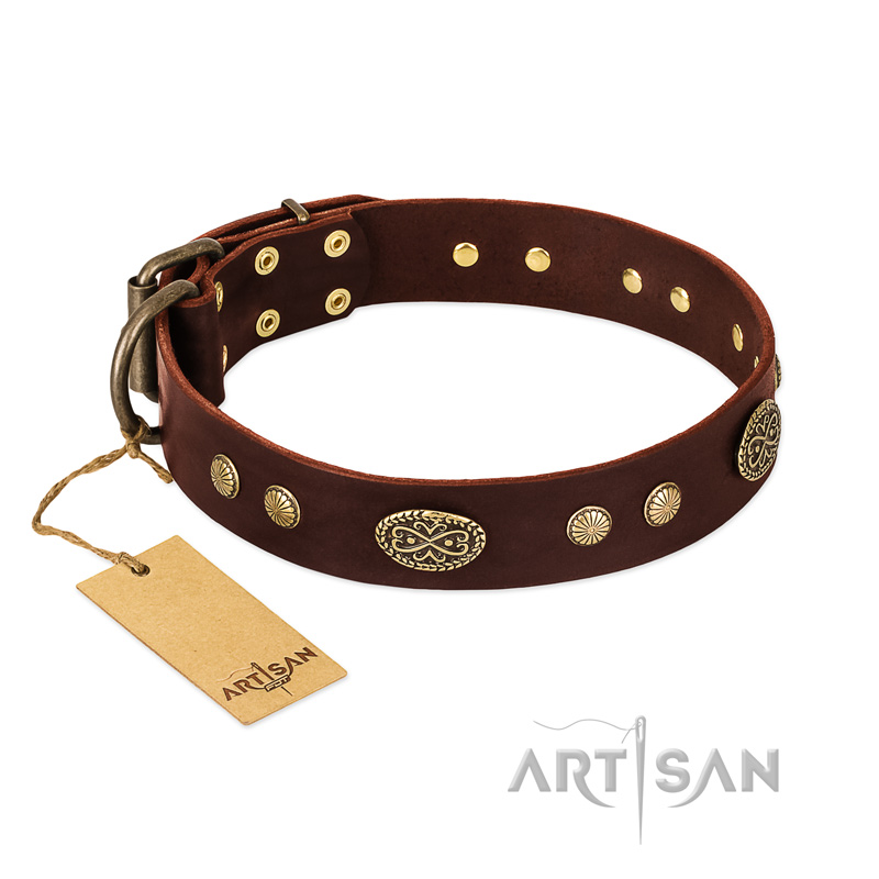 "Old-fashioned Glamor" FDT Artisan Brown Leather Mastiff Collar with Old Bronze Look Plates and Circles