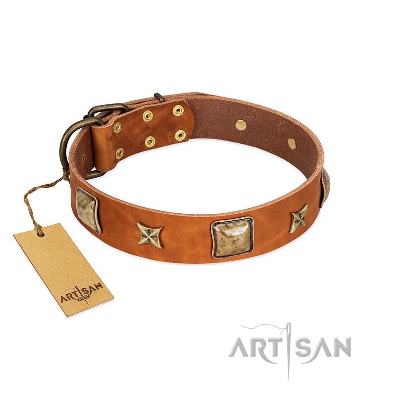 "Celtic Tunes" FDT Artisan Tan Leather Mastiff Collar Adorned with Stars and Squares