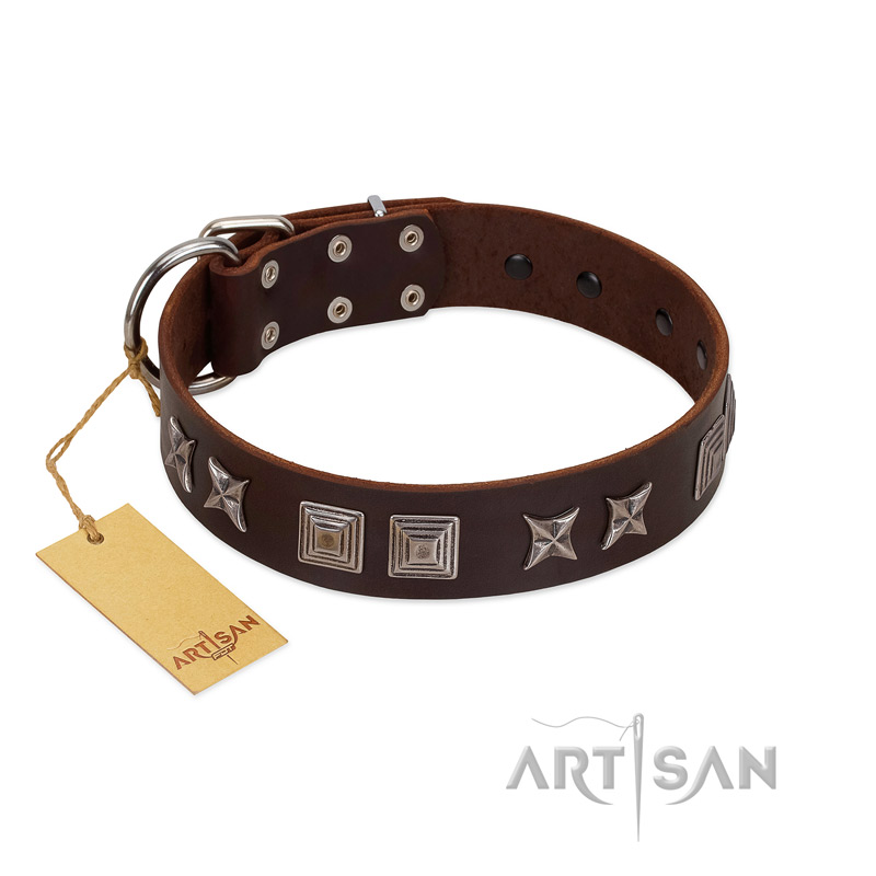 "Needle Stories" Modern FDT Artisan Brown Leather Mastiff Collar with Square Engraved Plates and Four-Point Stars