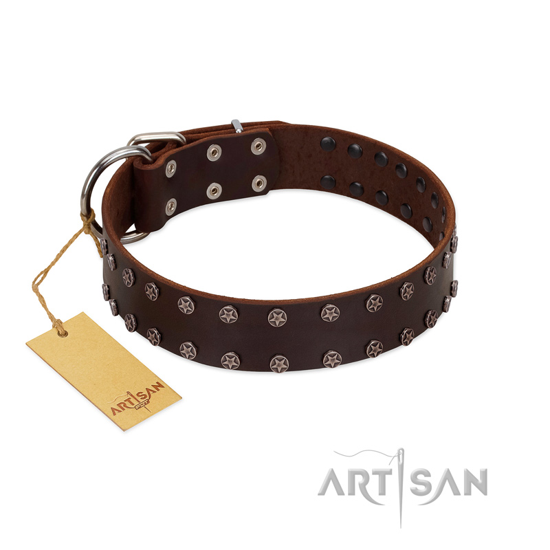 "Star Party" Handmade FDT Artisan Brown Leather Mastiff Collar with Silver-Like Studs