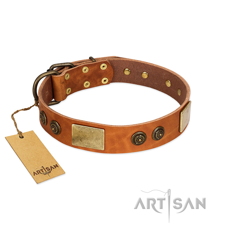 "Bronze Century" FDT Artisan Tan Leather Mastiff Collar with Plates and Brooches with Cool Ornament