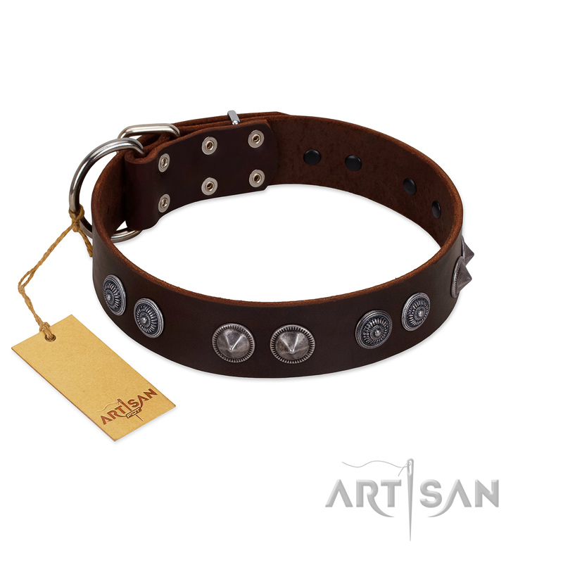 "King Arthur" FDT Artisan Brown Leather Mastiff Collar with Spiky Plates