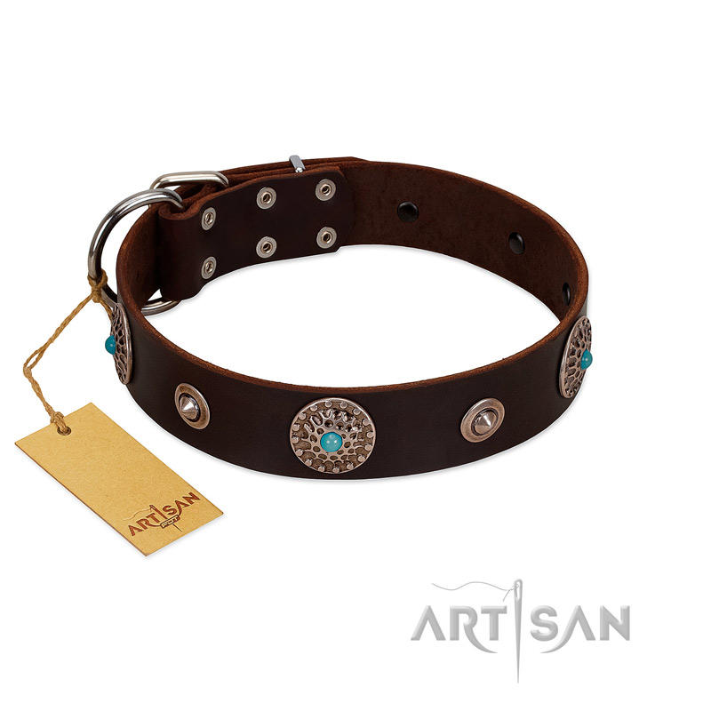 "Magic Stones" FDT Artisan Brown Leather Mastiff Collar with Chrome Plated Brooches and Studs