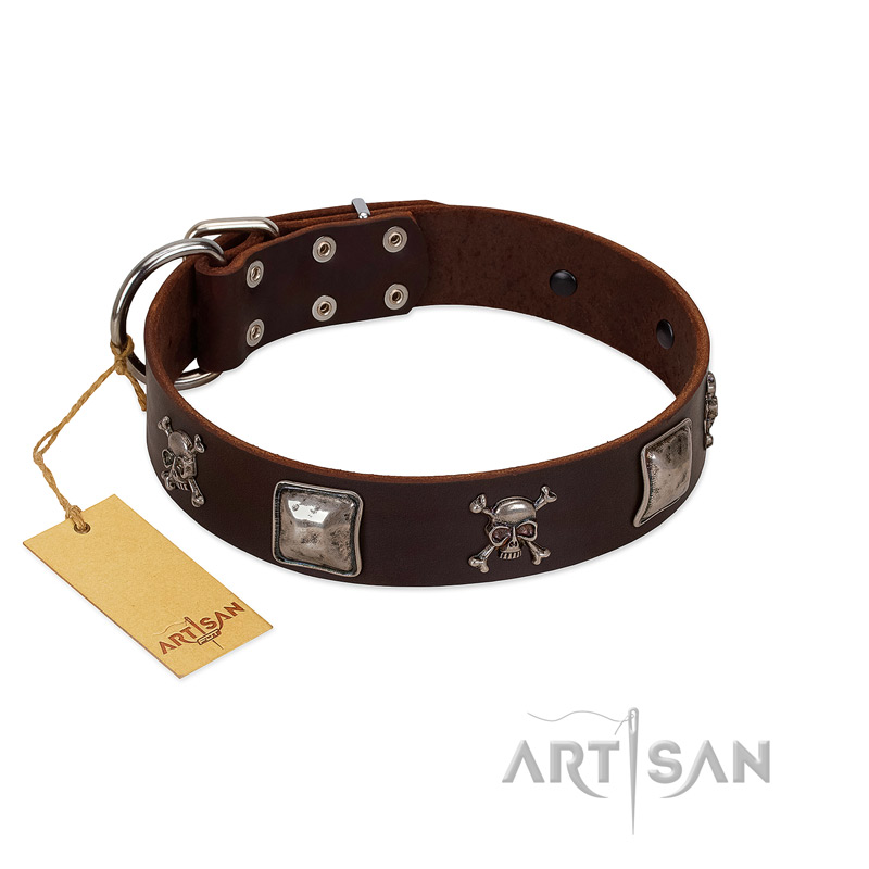 "Nut-Brown Finery" Embellished FDT Artisan Brown Leather Mastiff Collar with Chrome Plated Crossbones and Plates