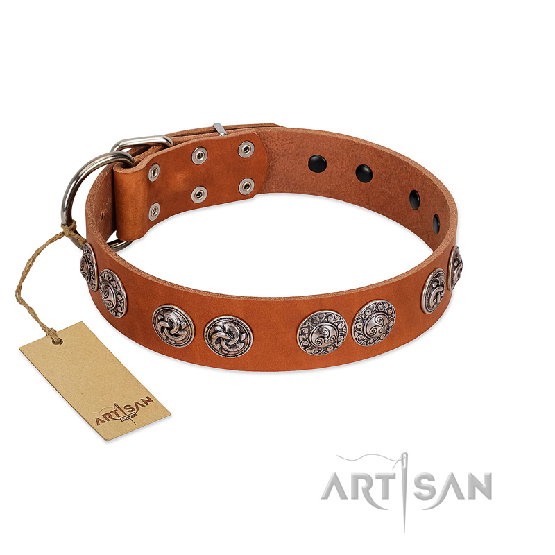 "Woofy Majesty" FDT Artisan Tan Leather Mastiff Collar with Round Silver-like Plates