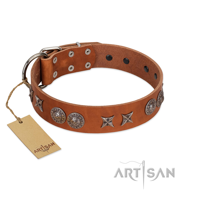 "Splendid Armor" Premium Quality FDT Artisan Tan Designer Mastiff Collar with Shields and Stars