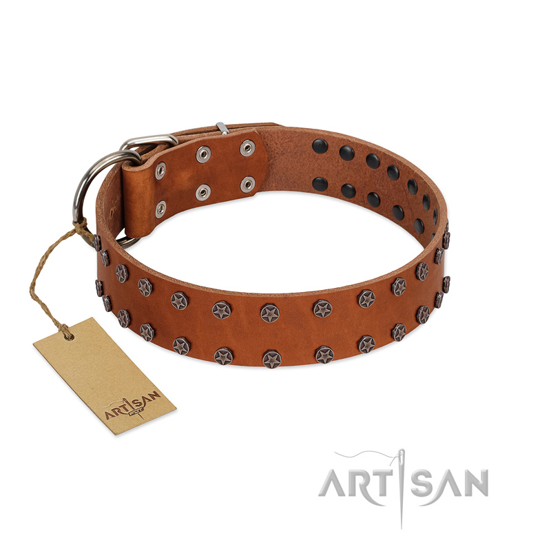 "Star Light" Stylish FDT Artisan Tan Leather Mastiff Collar with Silver-Like Studs