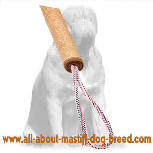 Rolled Jute Tug with 2 Handles for Puppy Training
