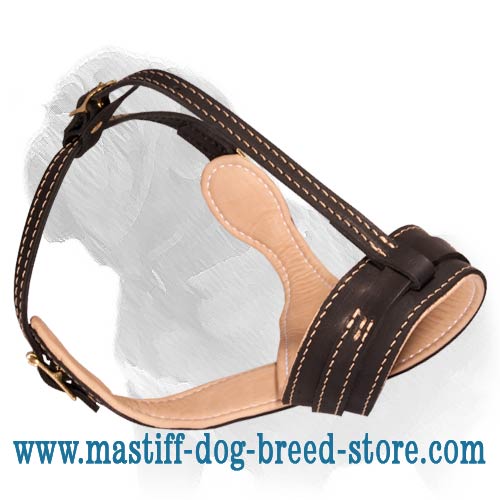 Anti barking/biting everyday leather muzzle for Mastiff